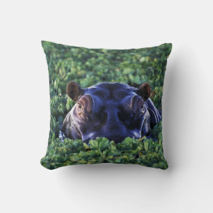 Kenya, Masai Mara National Reserve. Cushion