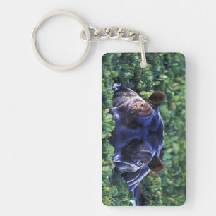 Kenya, Masai Mara National Reserve. Key Ring