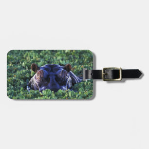 Kenya, Masai Mara National Reserve. Luggage Tag