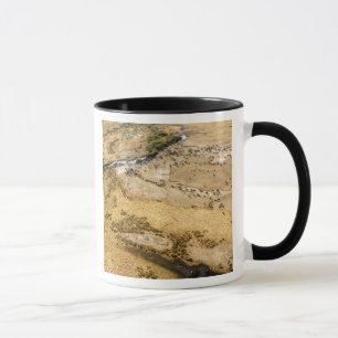 Kenya: Masai Mara National Reserve, Mara Mug