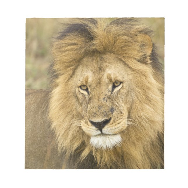 Kenya Masai Mara Notepad (Front)