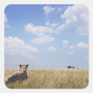 Kenya, Masai Mara Square Sticker