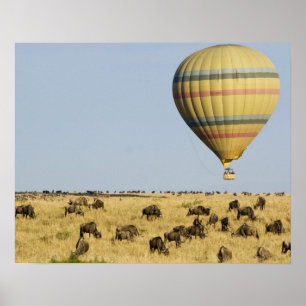 Kenya, Masai Mara. Tourists ride hot air balloon Poster
