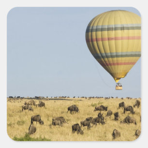 Kenya, Masai Mara. Tourists ride hot air balloon Square Sticker