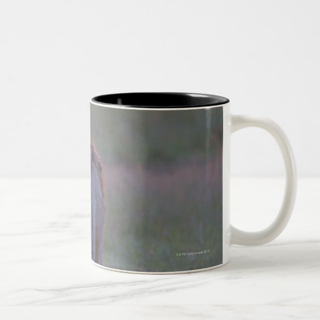 Kenya, Masai Mara Two-Tone Coffee Mug (Right)