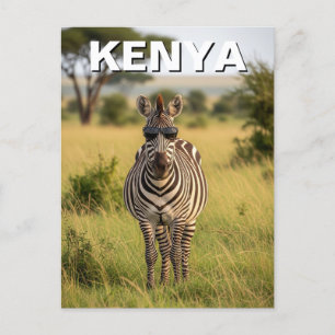Kenya Masai Mara Zebra with sunglasses Postcard