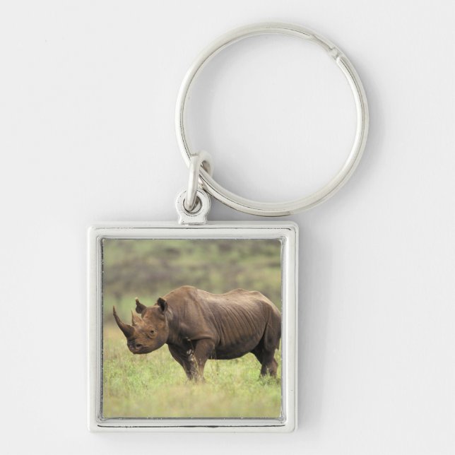 Kenya, Nairobi National Park. Black Rhinoceros Key Ring (Front)