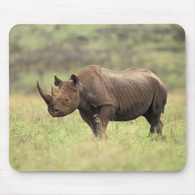 Kenya, Nairobi National Park. Black Rhinoceros Mouse Mat (Front)