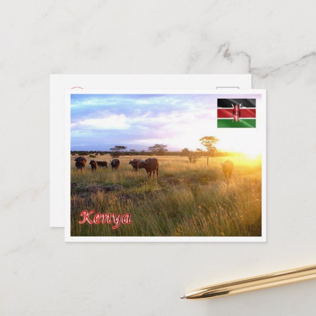 Kenya - Panorama - Postcard (Front/Back In Situ)