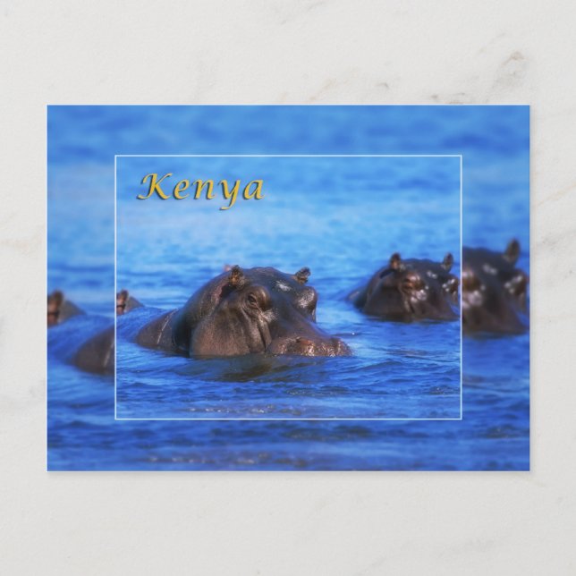 Kenya Postcard (Front)