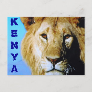 Kenya safari postcard