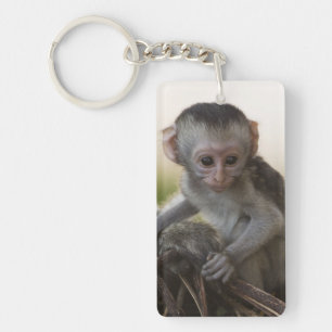 Kenya, Samburu Game Reserve. Vervet Monkey Key Ring
