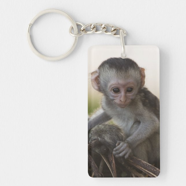 Kenya, Samburu Game Reserve. Vervet Monkey Key Ring (Front)