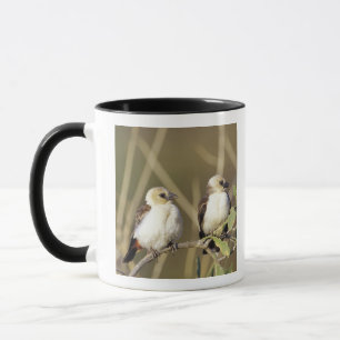 Kenya, Samburu National Reserve Mug