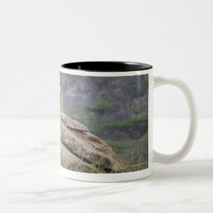 Kenya, Samburu Nature Reserve, female lion on Two-Tone Coffee Mug