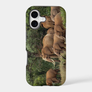 Kenya: Tsavo East National Park, herd African