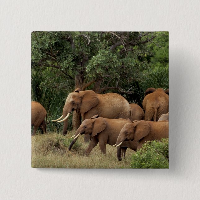 Kenya: Tsavo East National Park, herd African 15 Cm Square Badge (Front)