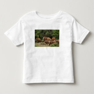 Kenya: Tsavo East National Park, herd African Toddler T-Shirt
