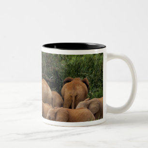 Kenya: Tsavo East National Park, herd African Two-Tone Coffee Mug