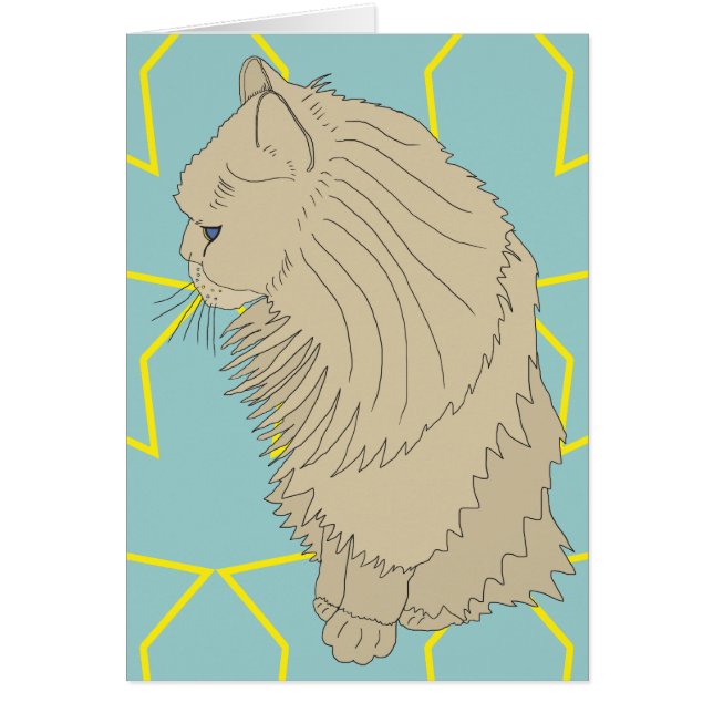 Kenzo the regal cat (Front)