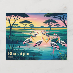 Keoladeo National Park India Postcard