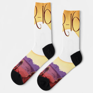 Kepler-16b: Binary Solar Sunset Fine Art Space Socks