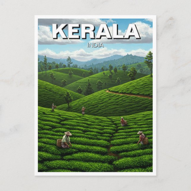 Kerala India Tea Plantation Postcard (Front)