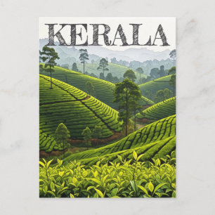 Kerala India Tea Plantation Postcard