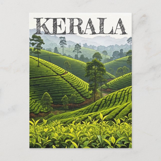 Kerala India Tea Plantation Postcard (Front)