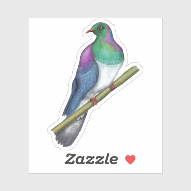 Kereru Wood pigeon (Sheet)