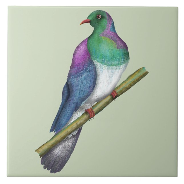 Kereru Wood pigeon Tile (Front)