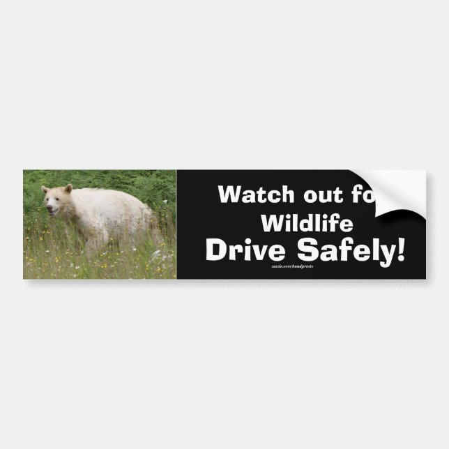 Kermode Spirit Bear Bumpersticker Bumper Sticker (Front)