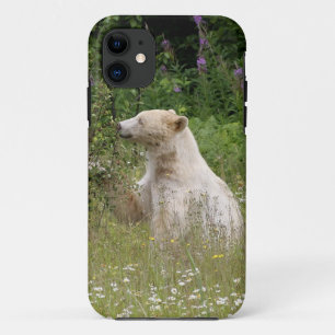 Kermode Spirit Bear Wildlife iPhone Case