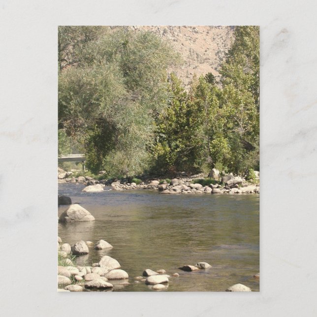 Kern River Postcard! Postcard (Front)