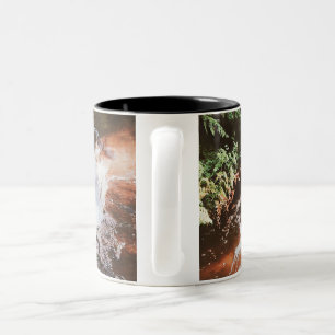 Kerosene Creek  Two-Tone Coffee Mug