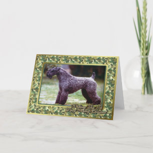 Kerry Blue Terrier Dog Blank Christmas Card