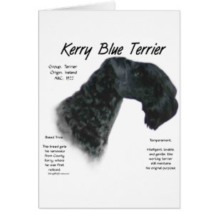 Kerry Blue Terrier History Design