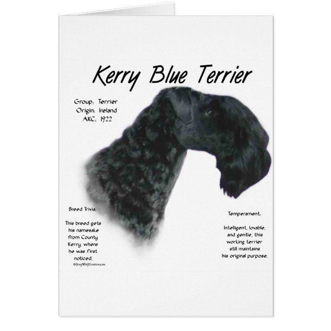 Kerry Blue Terrier History Design (Front)