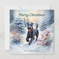 Kerry Blue Terrier In Snow Winter Merry Christmas