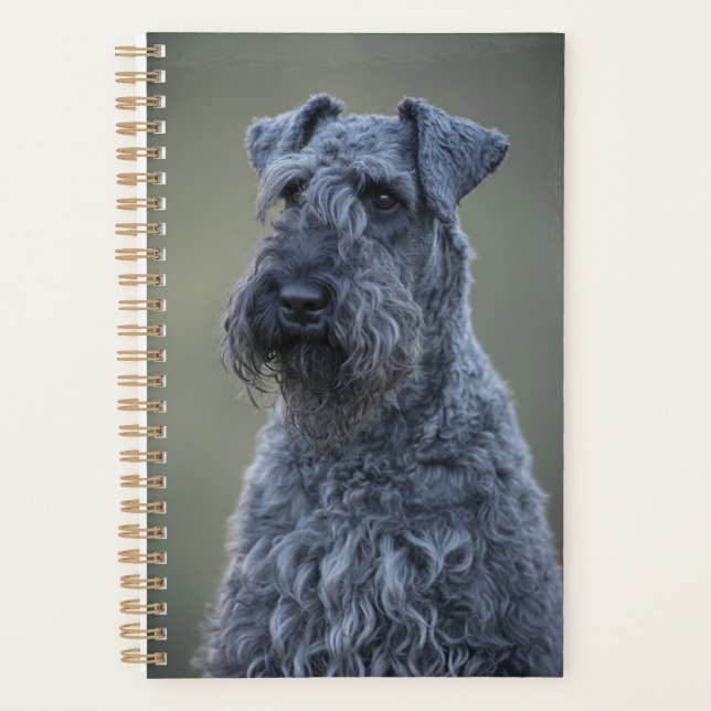Kerry Blue Terrier Planner (Front)
