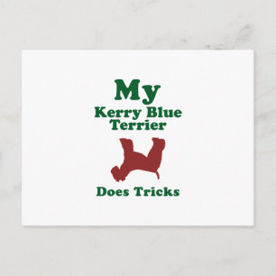 Kerry Blue Terrier Postcard