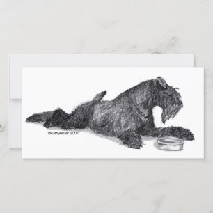 Kerry Blue Terrier with Bowl