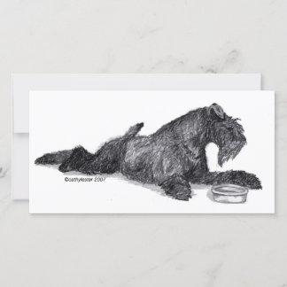 Kerry Blue Terrier with Bowl