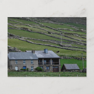 Kerry / Ireland Postcard