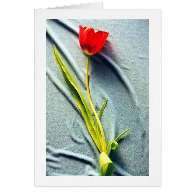 Kerstin's Red Tulip Card (Front)