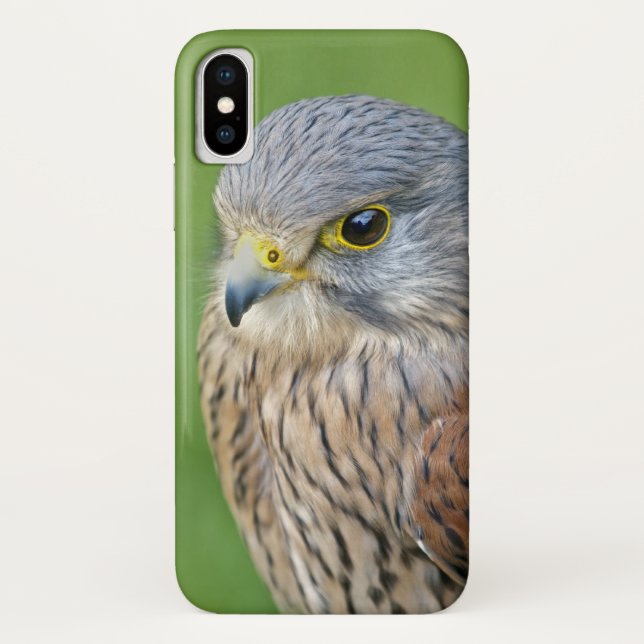 Kes iPhone X Case (Back)