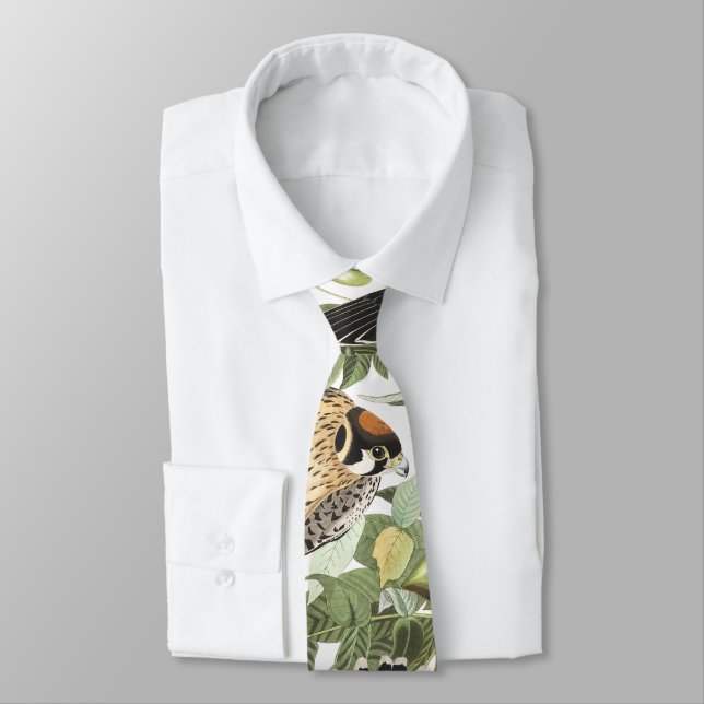 Kestral Birds Raptor Audubon Wildlife Tie (Tied)