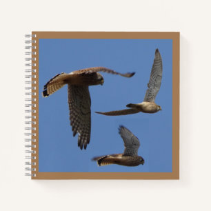 Kestrel Birds Photography Cust. Text Notebook