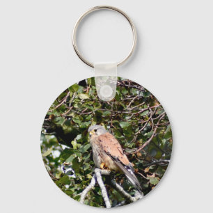 Kestrel Button Key Ring
