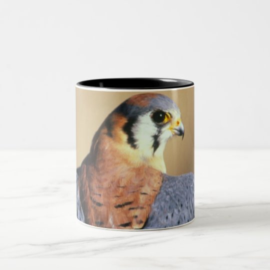 Kestrel Cup